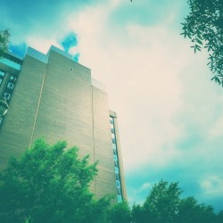 A Whisper in the Wind