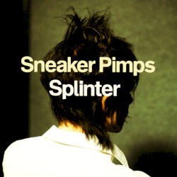 Splinter