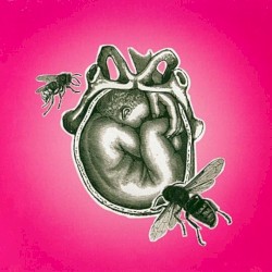 …And the Moon Was Hungry…