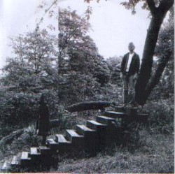 Until the Night Is Over