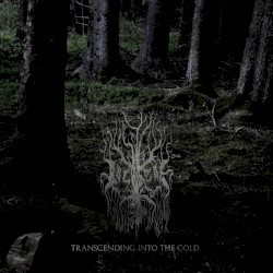 Transcending Into The Cold