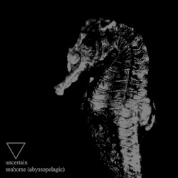 Seahorse (Abyssopelagic)