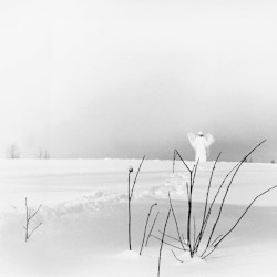 In frostigen Tälern