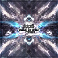 Awaken The Dream Remixes