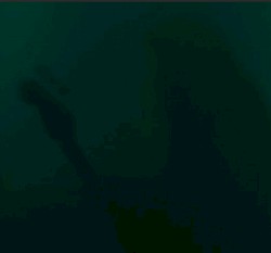 2006‐03‐03: Paradiso, Amsterdam, Netherlands