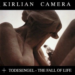 Todesengel. The Fall of Life