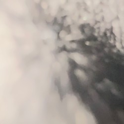 Boyfren In My Basement