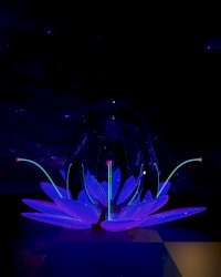 Relaxation Music 10.23.20