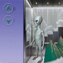 Split Tape