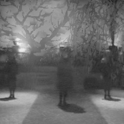 There Is Peace and Tranquility in Lost Media Found