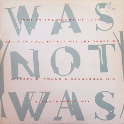 Spy in the House of Love