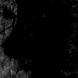 Willow (instrumental)