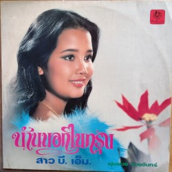 บ้านนอกในกรุง