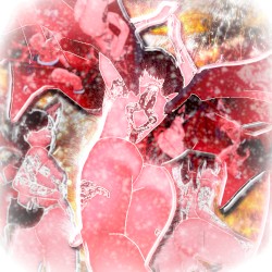 Presented Without Shame, With Their Pain, My Tail in Your Face