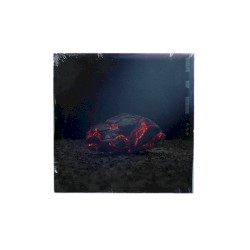 Réalité Rap Musique