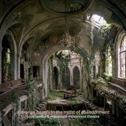 A Strange Beauty in the Midst of Abandonment