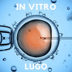In Vitro