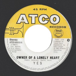 Owner of a Lonely Heart