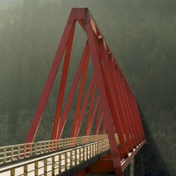 Rooms Filled With Light