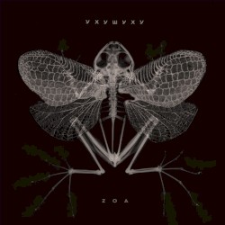 zoa