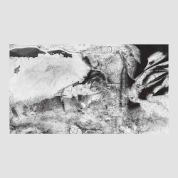 The Monochord in My Life