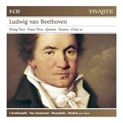 L'Archibudelli Play Beethoven