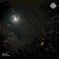 Moonlit Fields