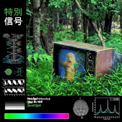 Special Signal
