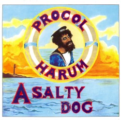 A Salty Dog