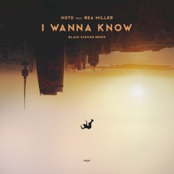 I Wanna Know (Black Station remix)