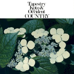 Tapestry Koto & the Occident Country