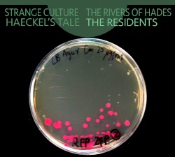 Strange Culture / The Rivers of Hades / Haeckel’s Tale
