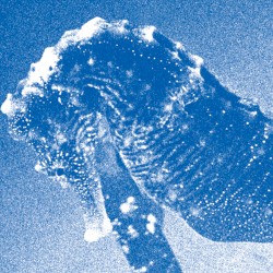 “Windswept Adan” Concert at Bunkamura Orchard Hall