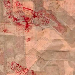 Cicatrix