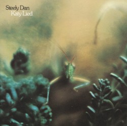 Katy Lied
