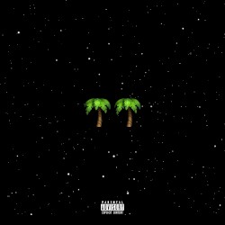Palmwine Music 2
