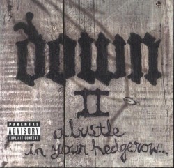 Down II: A Bustle in Your Hedgerow…