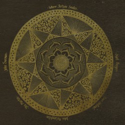 Where Fortune Smiles