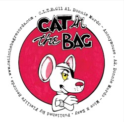 Cat Chasing the Mouse