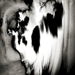 dismoisicestpaschaud