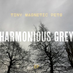 Harmonious Grey