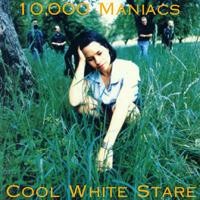 Cool White Stare