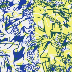 Death Shanties / Vibracathedral Orchestra