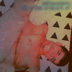 . • * $ L U T . • *