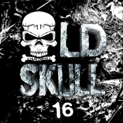Old Skull 16