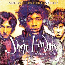 Are You Experienced?