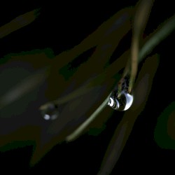 In Search Of Balance