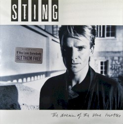 The Dream of the Blue Turtles