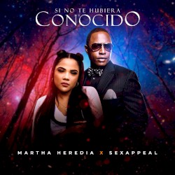 Si no te hubiera conocido