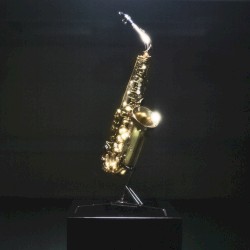 Throw My Head Out The Window